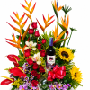 flores exoticas girasoles regalo para mama dia de la madre entregas hoy flores bogota