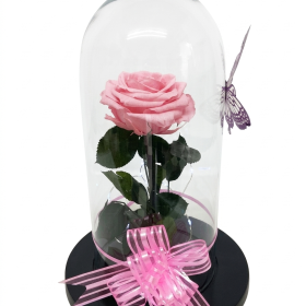 Rosa Preservada