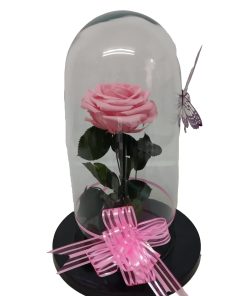 Rosas Preservadas