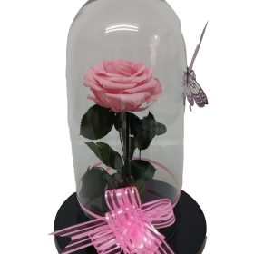 Rosas Preservadas