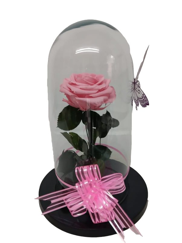 Rosas Preservadas