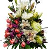 dia de la madre entregas hoy en bogota orquideas