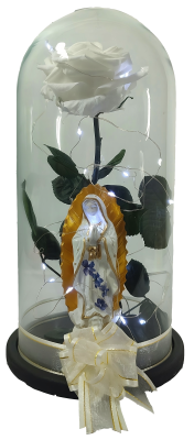 Rosa Preservada con luces y Virgen