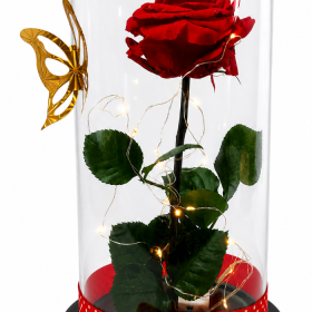 Rosa Preservada con luces