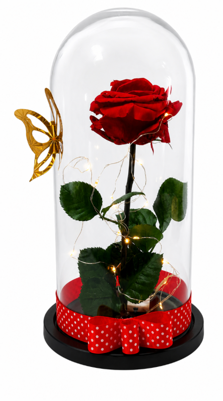 Rosa Preservada con luces
