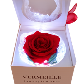 Rosa preservada caja