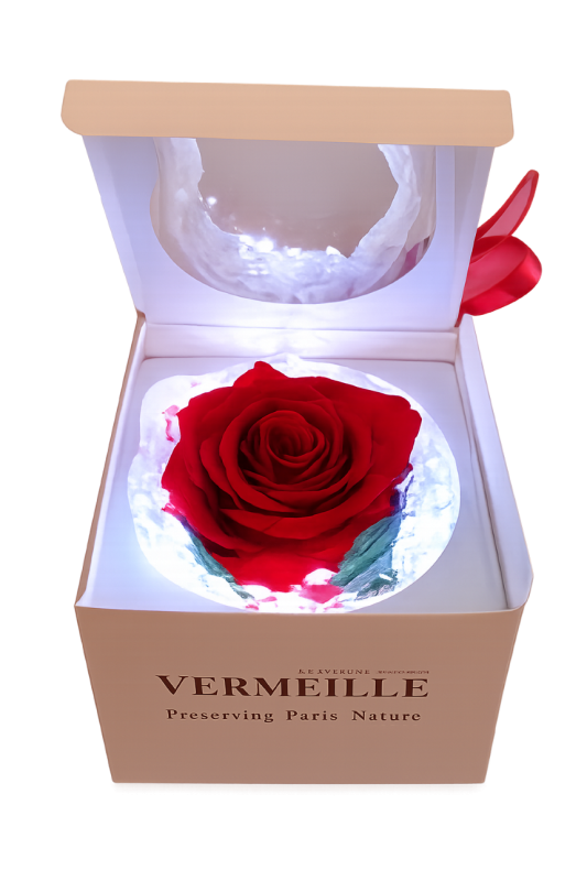Rosa preservada caja