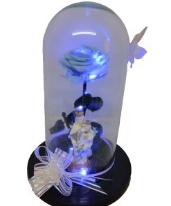 Rosa con Virgen y Luz