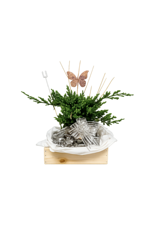 Raíces de Eternidad