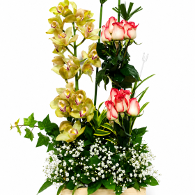 rosas y orquideas flores para mama