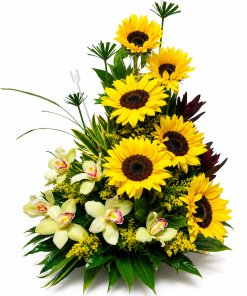 Girasoles y orquideas Flores en Bogota