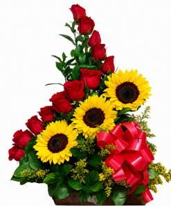 Espiral de Amor