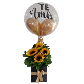 Gala de Girasoles