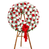 Homenaje del Corazón