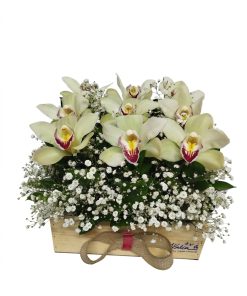 diseños delux orquideas mama entregas hoy florers bogota