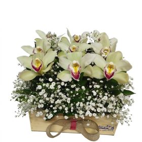 diseños delux orquideas mama entregas hoy florers bogota