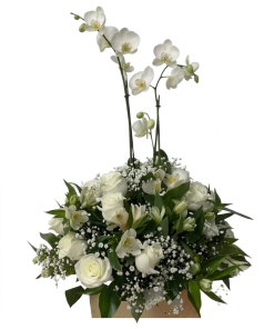 Rosas y orquídeas, arreglos funebres en Bogotá - Floristería Akalia. Entrega hoy en Bogotá.