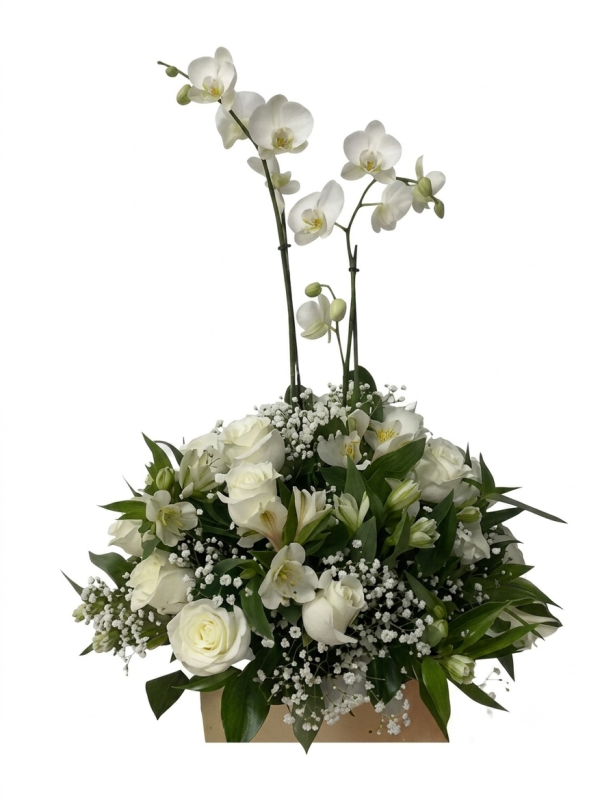Rosas y orquídeas, arreglos funebres en Bogotá - Floristería Akalia. Entrega hoy en Bogotá.