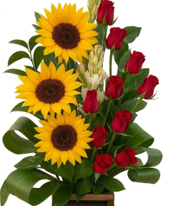 Girsoles, Flores para san valentin Dia de las madres