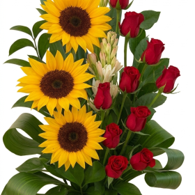 Girsoles, Flores para san valentin Dia de las madres